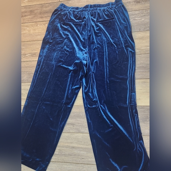 Porter Collective Teal Blue Velvet Wide Leg Trouser Pants Size 1Xlarge - Picture 5 of 6